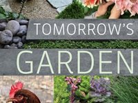 Tomorrows's Garden by Stephen Orr