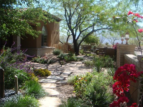 Desert Landscaping - Home Interior Concepts