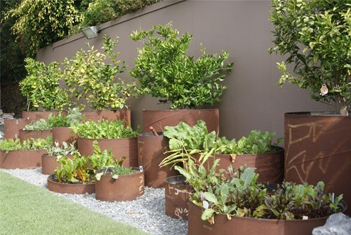 Raised Bed Vegetable Gardening - Landscaping Network