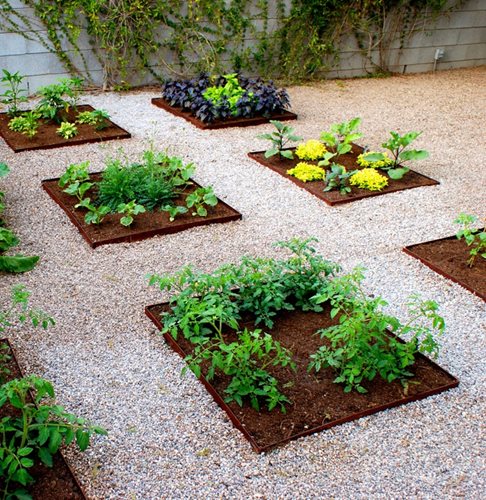  photos and ideas for creating sensational food container gardens