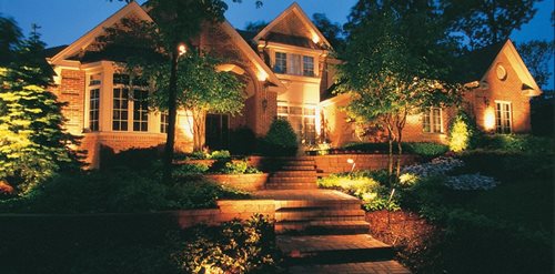 Trees for Front Yard Landscaping