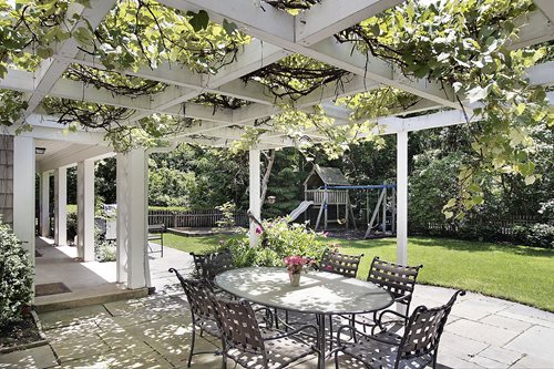 Pergola Plants and Vines - Landscaping Network
