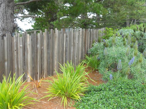 Privacy Fence Landscaping Ideas