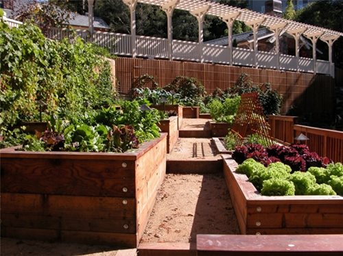 Kitchen Garden Design Ideas  Landscaping Network