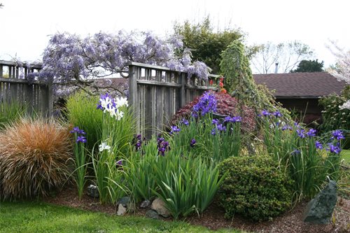 Fence Landscaping Ideas
