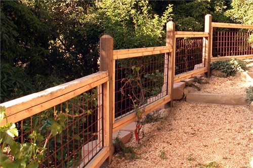 Garden Fencing Design Ideas - Landscaping Network