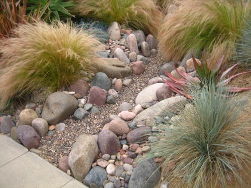 Landscaping with Ornamental Grasses Ideas