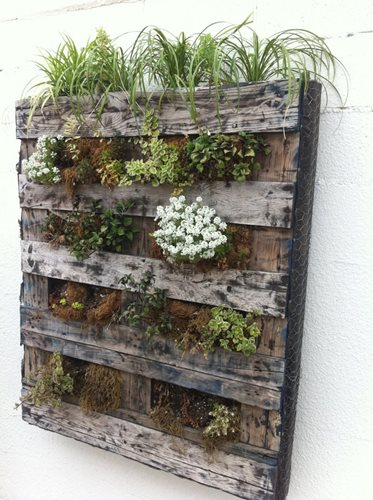 Recycled Pallet Garden Ideas