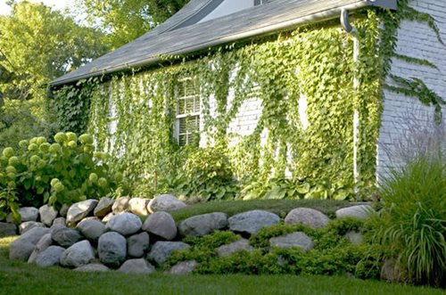 Stacked Stone Walls Landscaping