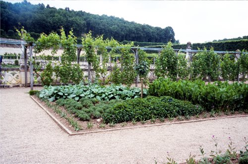 vegetable garden design ideas landscaping network
