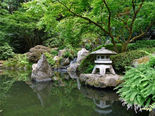 Small Japanese Garden Koi Pond