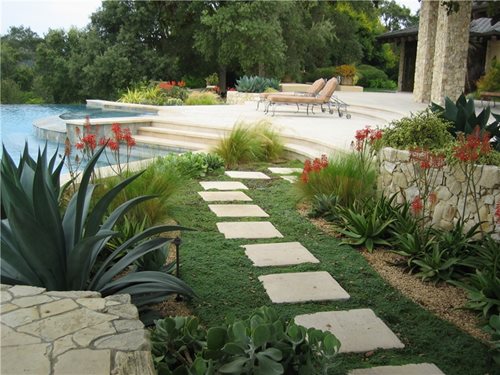 California Landscaping Plants Pictures 73