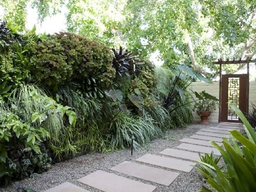 Small Side Yard Landscaping Ideas