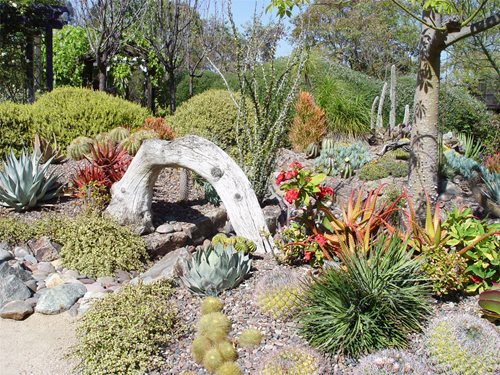 Succulent Rock Garden Ideas