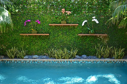 South Florida Tropical Landscaping Ideas