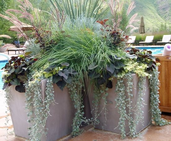 Container Gardens - Carbondale, CO - Photo Gallery - Landscaping ...