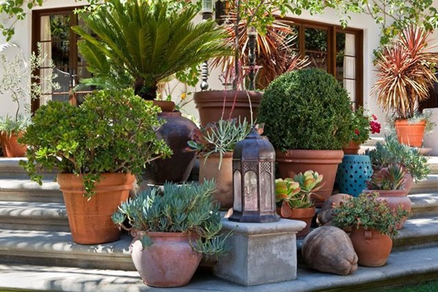 container garden can create interest at the edge of a patio. This 