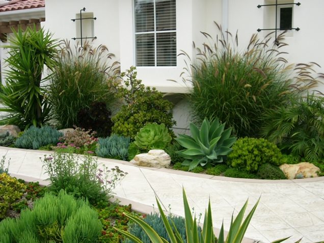 Succulent Path GardenGarden DesignDesigns by ShelleneSan Diego, CA