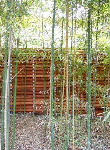 Wood Fence Design Photo Gallery
