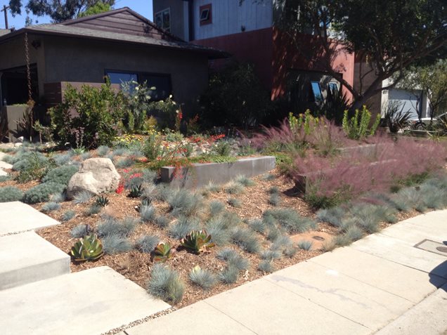 Drought Tolerant Front Yard Landscaping
