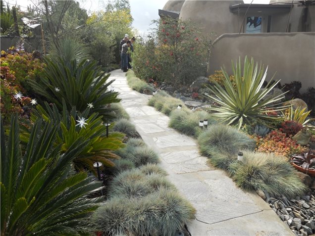 Low Water Landscaping Southern California