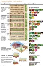 Vegetable Garden Design Ideas - Landscaping Network