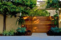 Drought-Tolerant Outdoor Living Space