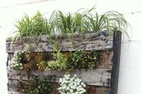 Pallet, Plants, Vertical, Garden
Landscaping Network
Calimesa, CA