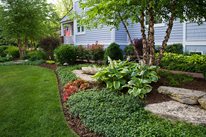 Landscape Bed, Groundcover, Hosta
Grant & Power Landscaping
West Chicago, IL