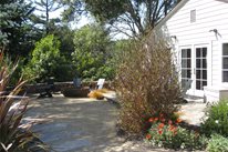Lawnless Yard
Backyard Landscaping
Dig Your Garden Landscape Design
San Anselmo, CA