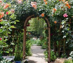 curved arbor covered in roses