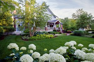 Front Yard Lawn, Front Yard Planting Beds
Front Yard Landscaping
Grant & Power Landscaping
West Chicago, IL