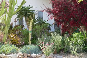 Garden Design
Maureen Gilmer
Morongo Valley, CA