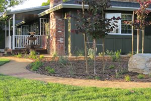 Outdoor Kitchen
Creations Landscape Design
Tustin, CA