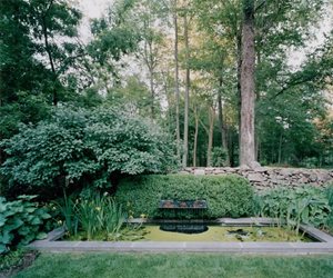 Backyard Pond, Pond Plants
Rees Roberts + Partners LLC
New York, NY