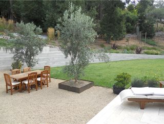 Huettl Landscape Architecture Walnut Creek, CA