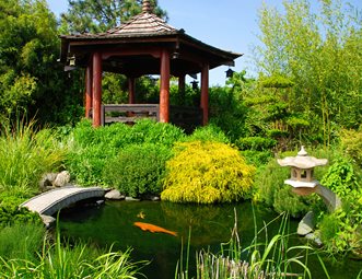 asian-koi-pond-landscaping-network_8690.jpg