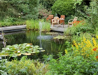 Pond And Waterfall Pictures Gallery Landscaping Network