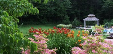 Backyard Plants, Pergola
Midwest Landscaping
Blue Ridge Landscaping
Holland, MI