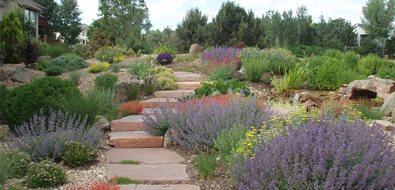 Xeriscaping Ideas - Landscaping Network