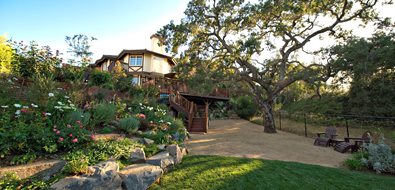 California Backyard
Lifescape Designs
Simi Valley, CA