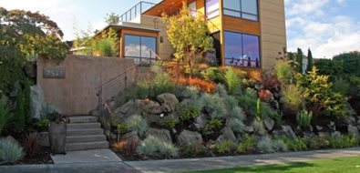Front Yard Hillside
Seattle Landscaping
Banyon Tree Design Studio
Seattle, WA