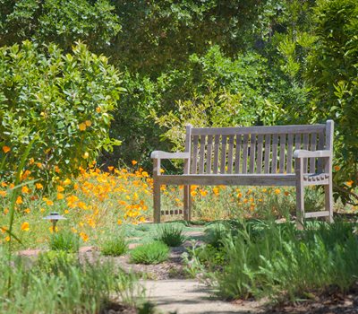 weathered wood garden bench