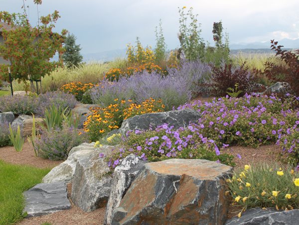 Xeriscape Boulders
Front Yard Landscaping
J&S Landscape
Longmont, CO