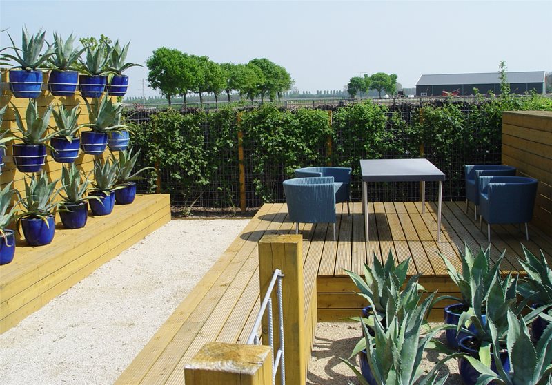 Raised Deck
Blue Garden
Maureen Gilmer
Morongo Valley, CA