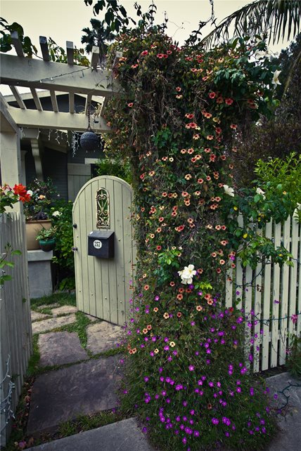 小屋栅栏加利福尼亚花园旅游景观网络卡里梅萨，加州