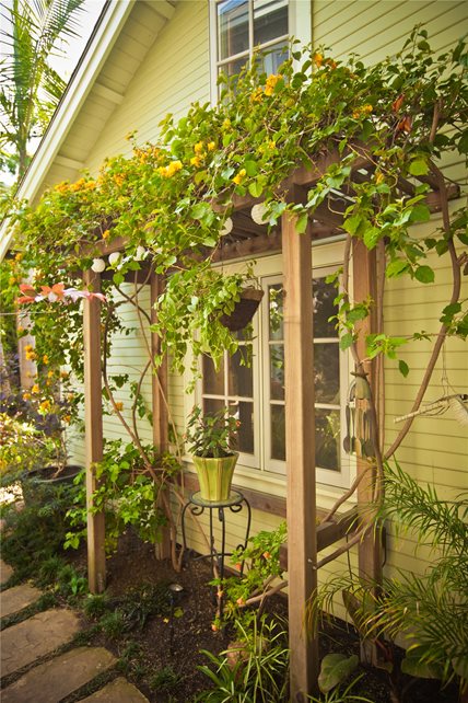 藤架，藤蔓加利福尼亚花园旅游景观网络卡里梅萨，加州