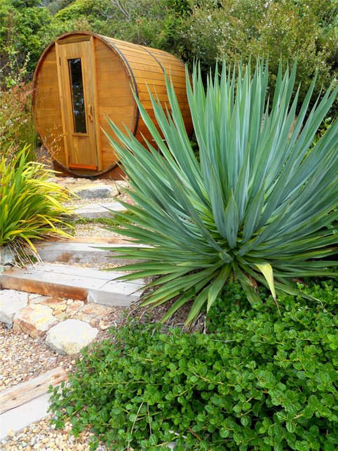 植物，台阶加利福尼亚花园旅游景观网络卡里梅萨，加州