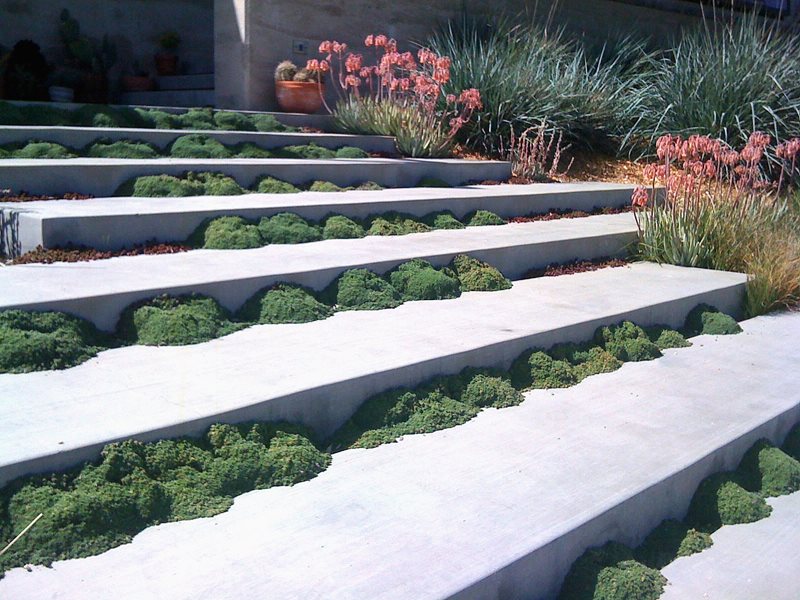 独特，步骤加利福尼亚花园旅游景观网络卡里梅萨，加州
