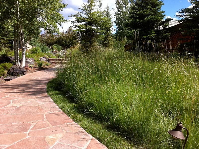 Stone Walkway, Tall Grasses
Colorado Landscaping
Evolving Gardens & Ground Design
Carbondale, CO